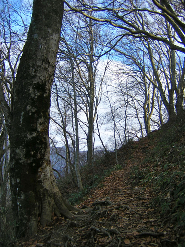 DSCN9069
