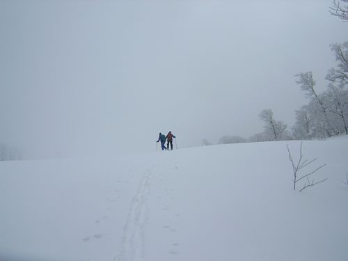 DSCN9232