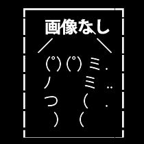 遺影画像なし