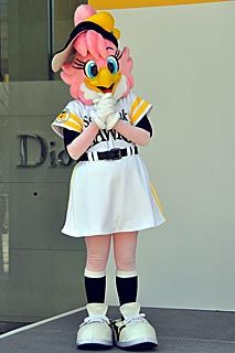 honey_hawk7