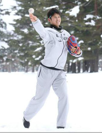 大谷翔平ゼリー
