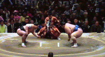 koto