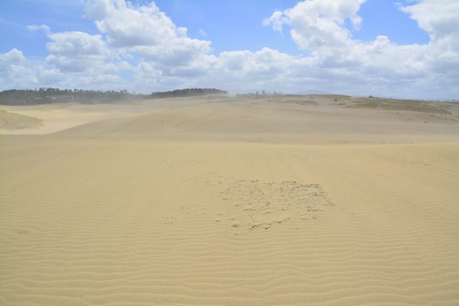 adpDSC_0135-750x500