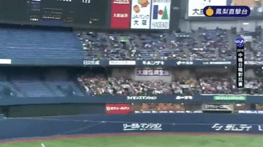 tai