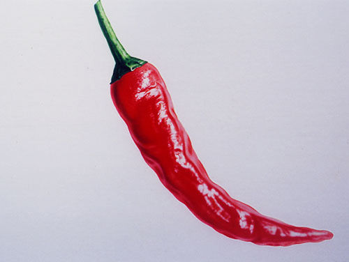 chilipepper