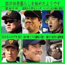 sGxQ6fT