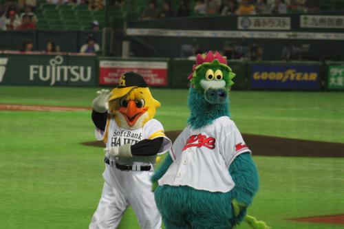 IMG_2521_convert_20110518074631