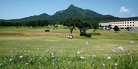 pc_1223403305