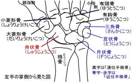 rCqjKrA