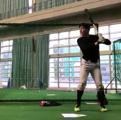 yasu
