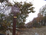 fugen546