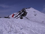 À¾Ê棲