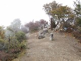 fugen547
