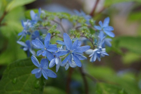 39b30609-s.jpg