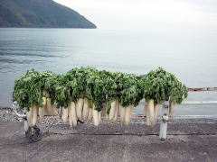biwako_041114_13