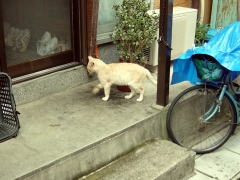 biwako040904_21