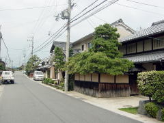 biwako040904_11