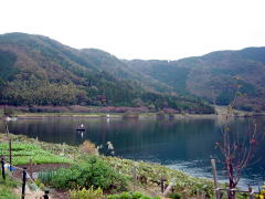 biwako_041114_05