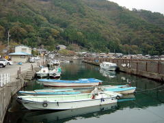 biwako_041114_15