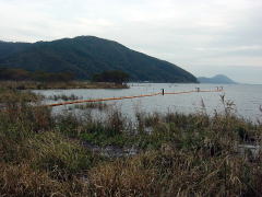 biwako_041114_31