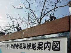 biwako_041218_13