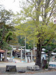 biwako_041114_12