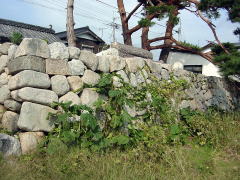 biwako_041024_15