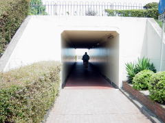 biwako040703_09