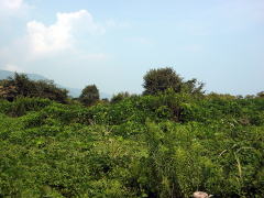 biwako040920_23