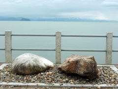 biwako041003_30