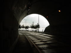 biwako041121_21