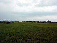 biwako040904_15