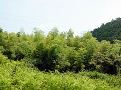 sosui040703_13