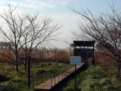 biwako_041218_07