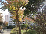eac63947