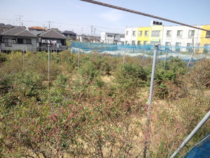 CA3I3917