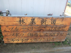 CA3I3938