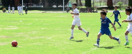 IMG_2505