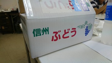 1506346705199