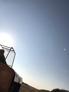 1482401665954