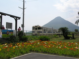 P1010117