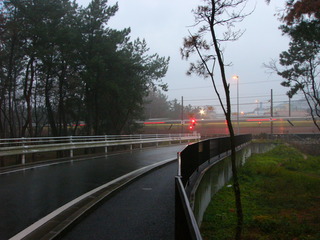 P1040550