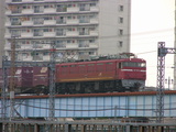 P1040331