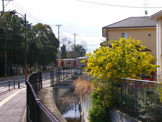 P1040879