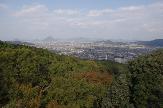 IMGP9987