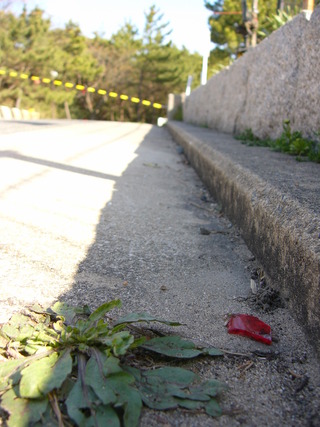 P1030535