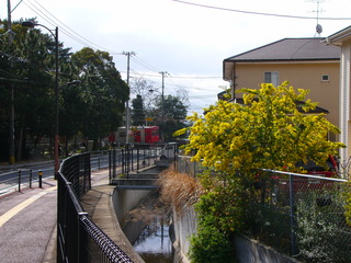 P1040880