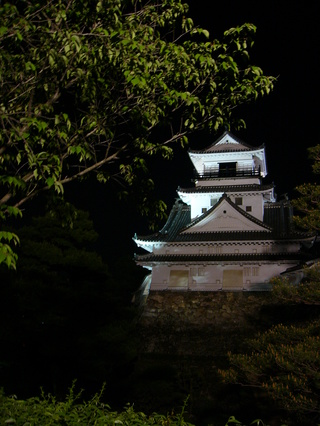 P1060951