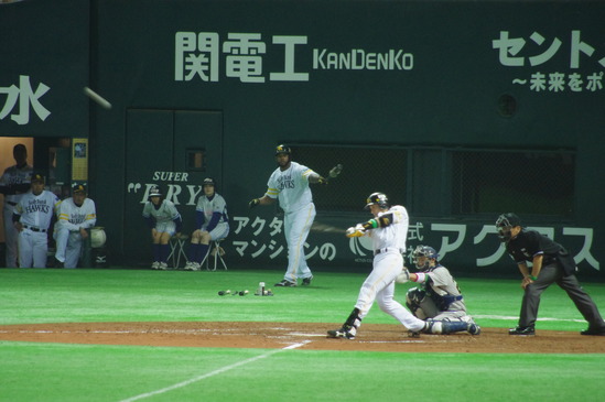 IMGP0404