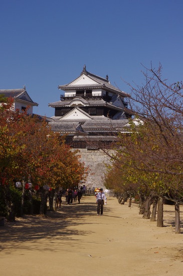 IMGP0014